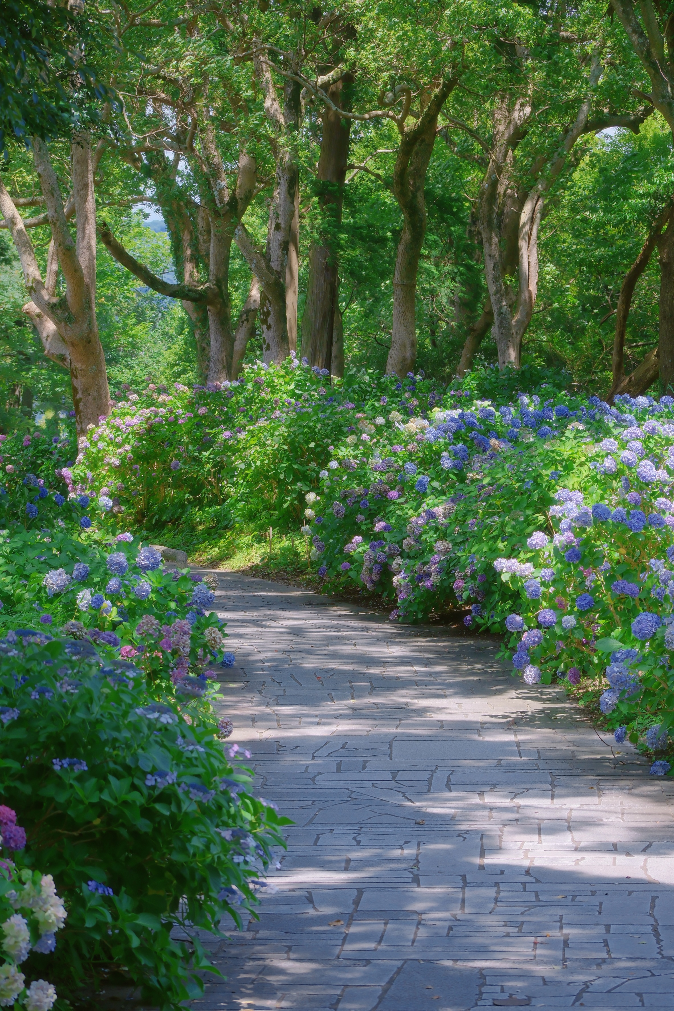 12 (2) from the seasons photography series.